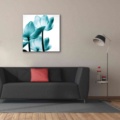 Image of 'Translucent Tulips III Teal' by Debra Van Swearingen, Canvas Wall Art,37 x 37