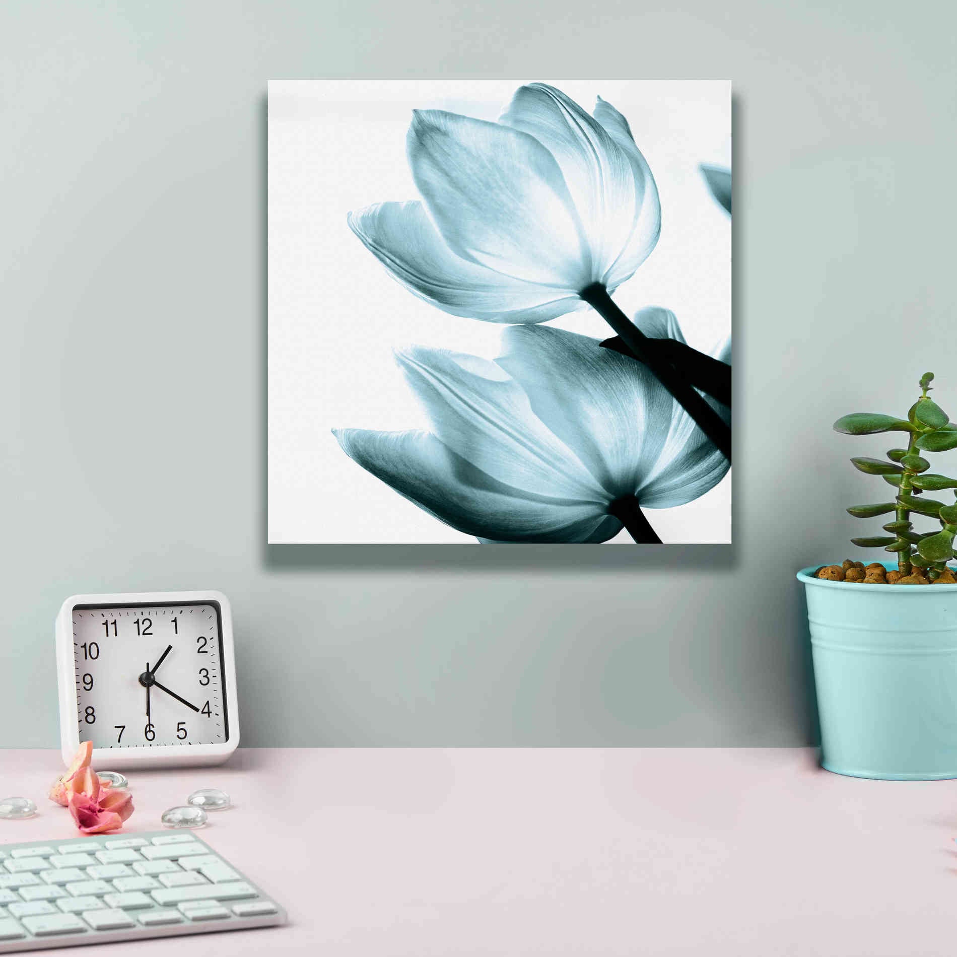 'Translucent Tulips II Aqua' by Debra Van Swearingen, Canvas Wall Art,12 x 12