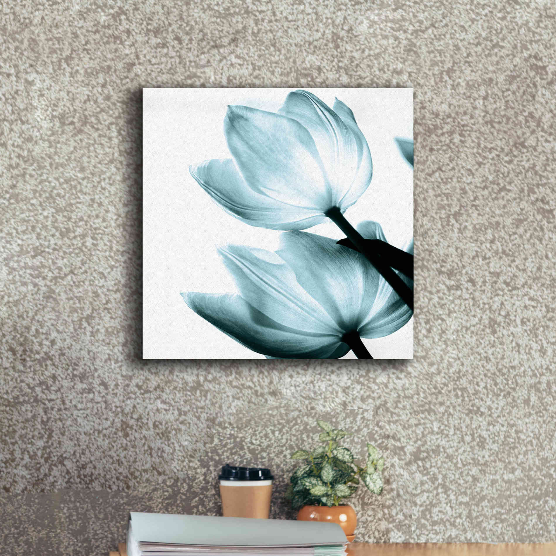 'Translucent Tulips II Aqua' by Debra Van Swearingen, Canvas Wall Art,18 x 18