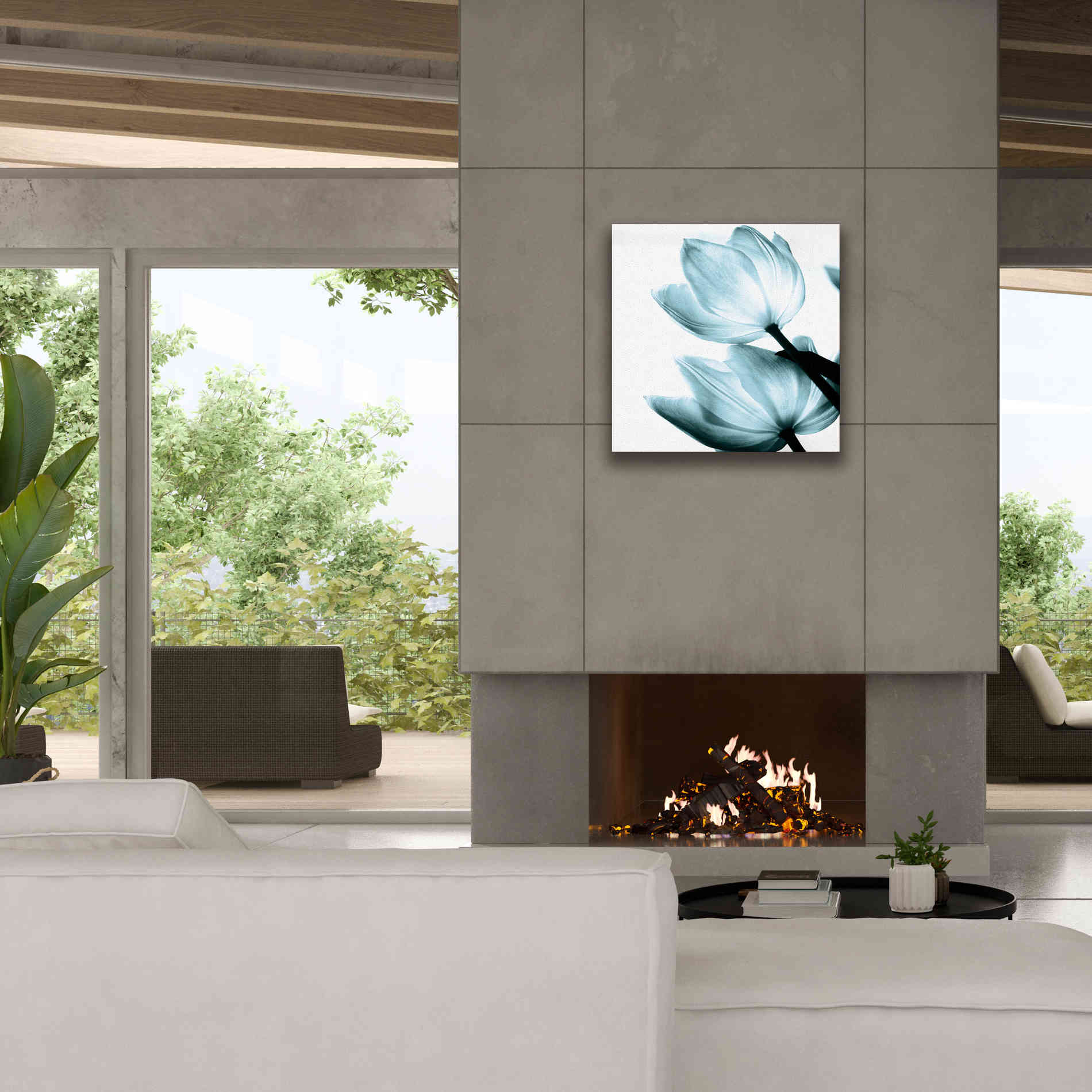 'Translucent Tulips II Aqua' by Debra Van Swearingen, Canvas Wall Art,26 x 26