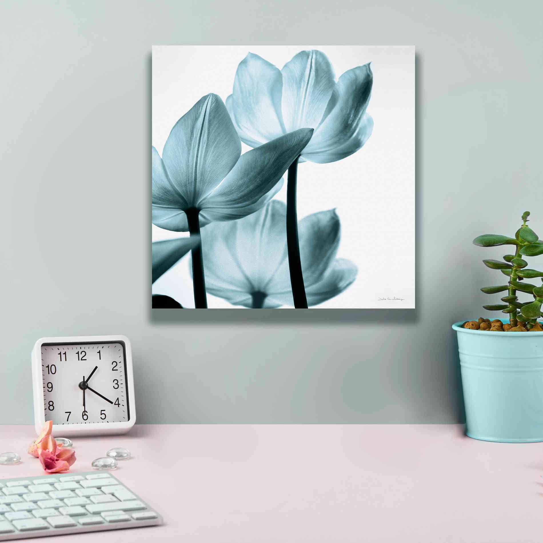 'Translucent Tulips III Aqua' by Debra Van Swearingen, Canvas Wall Art,12 x 12