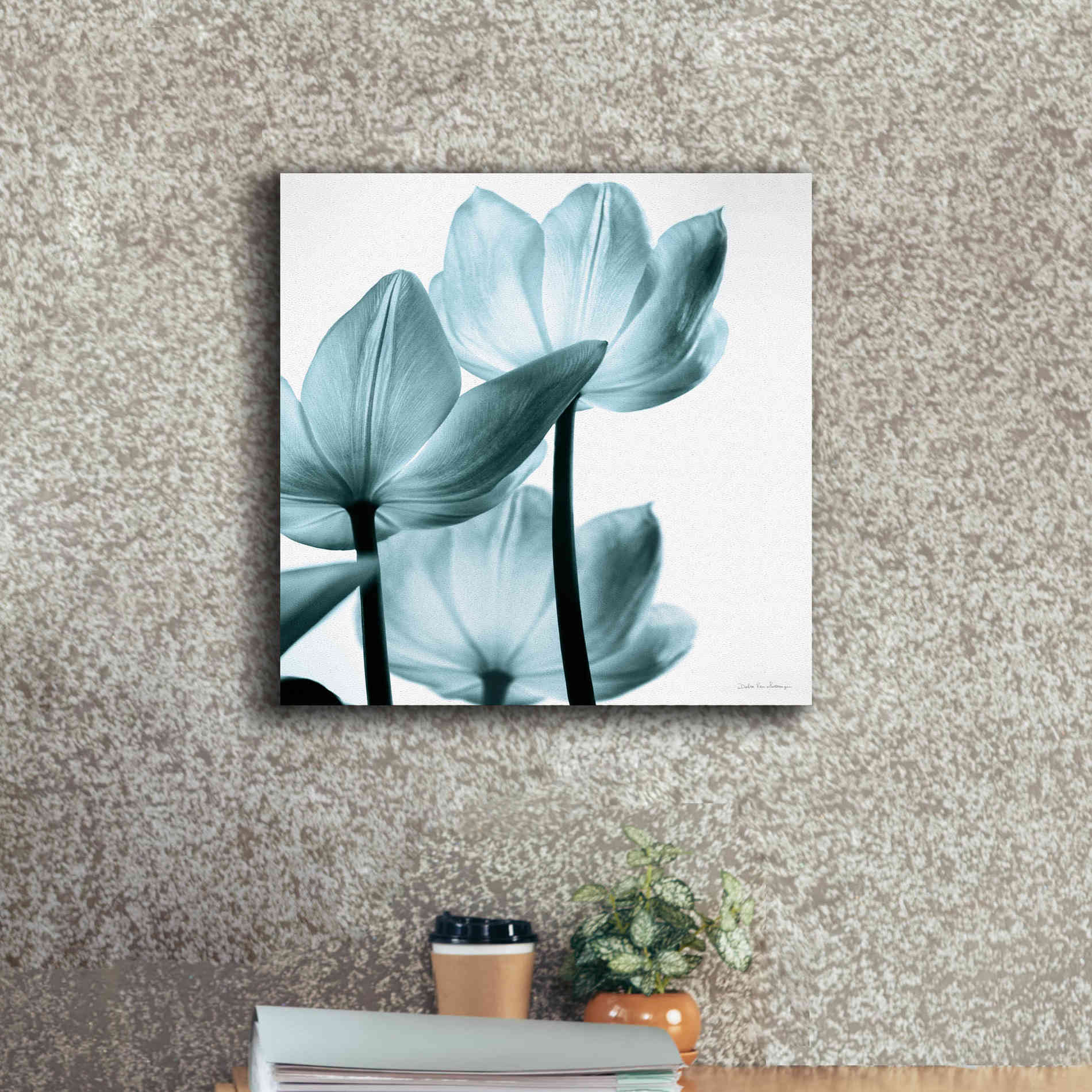 'Translucent Tulips III Aqua' by Debra Van Swearingen, Canvas Wall Art,18 x 18