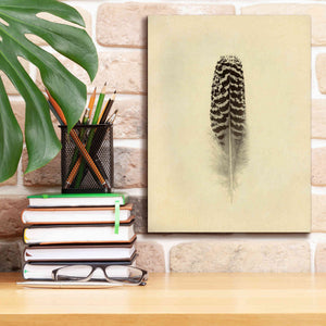 'Feather I Vintage' by Debra Van Swearingen, Canvas Wall Art,12 x 16