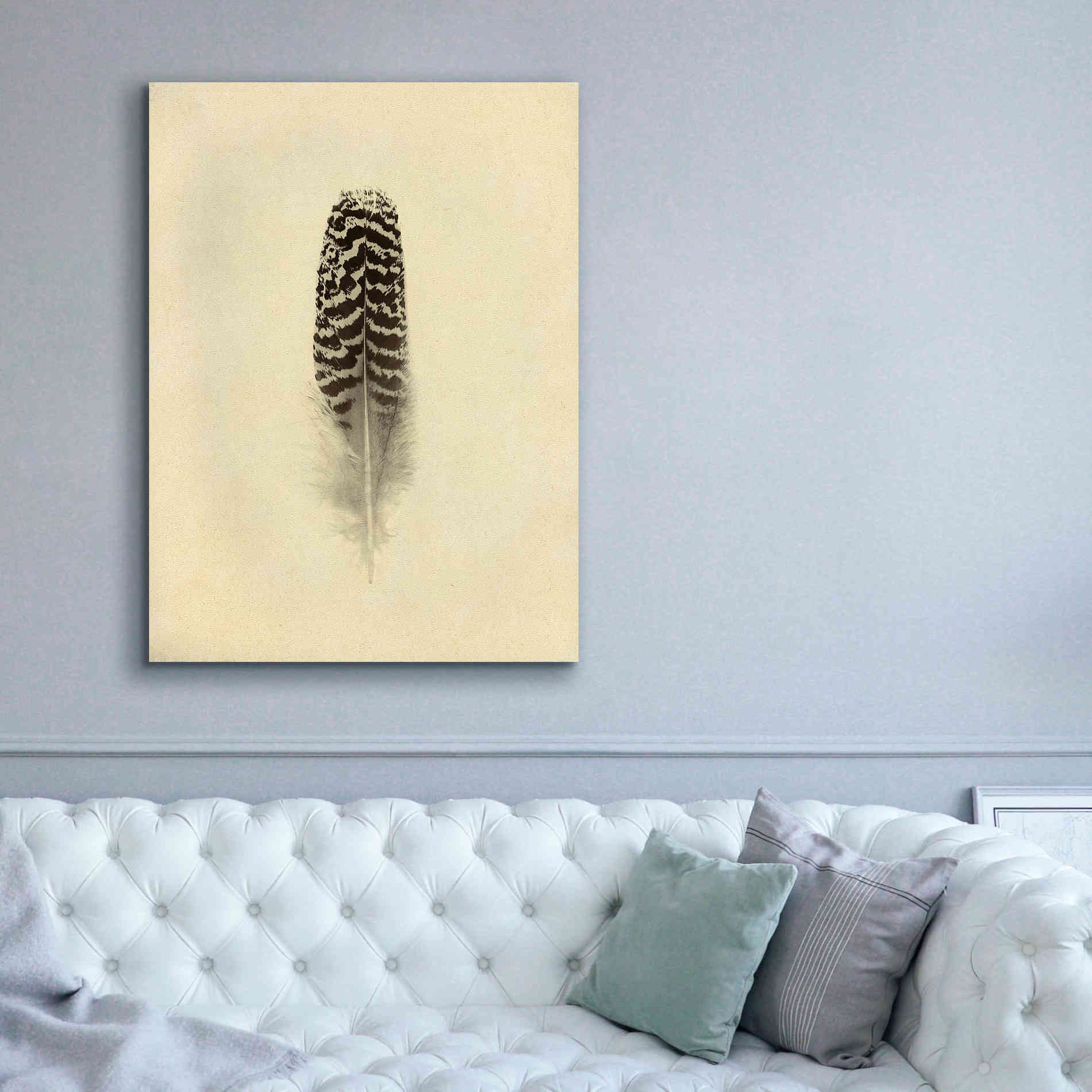 'Feather I Vintage' by Debra Van Swearingen, Canvas Wall Art,40 x 54