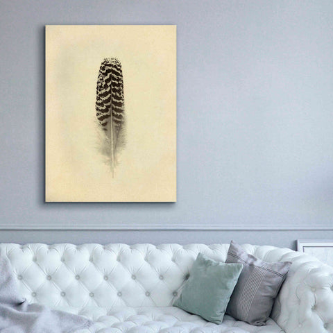 Image of 'Feather I Vintage' by Debra Van Swearingen, Canvas Wall Art,40 x 54