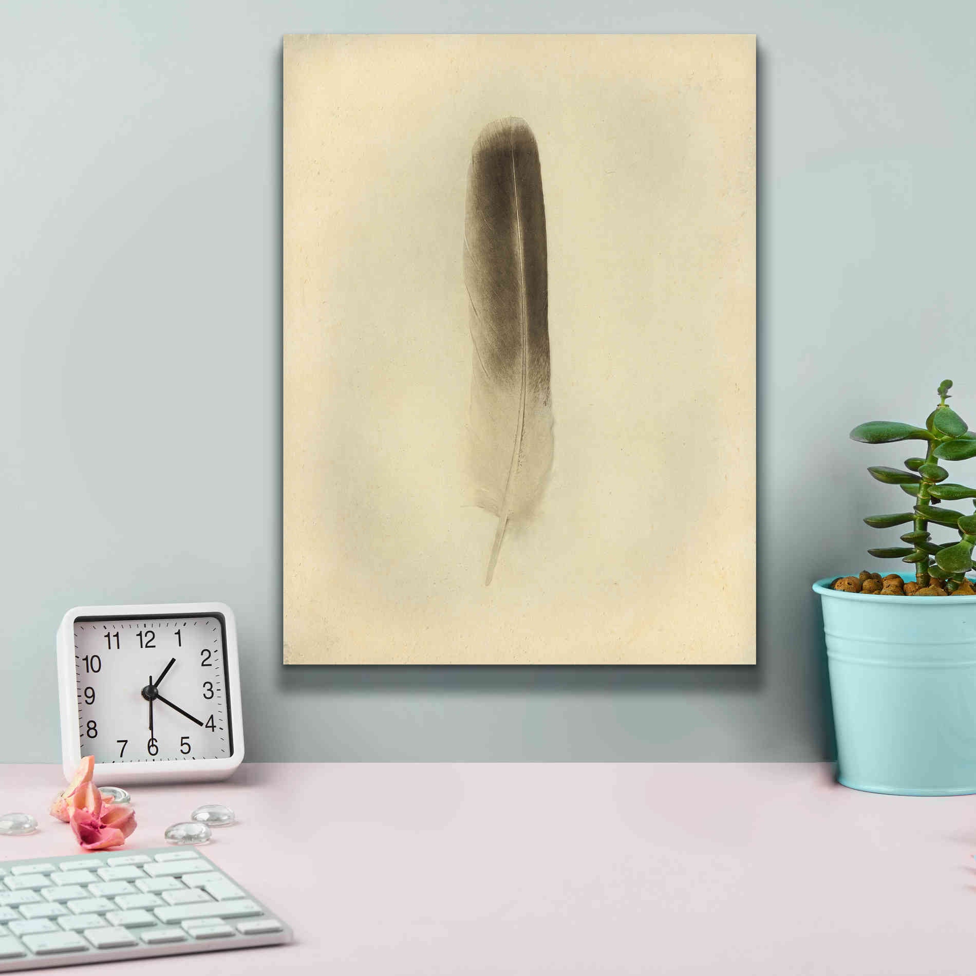 'Feather II Vintage' by Debra Van Swearingen, Canvas Wall Art,12 x 16