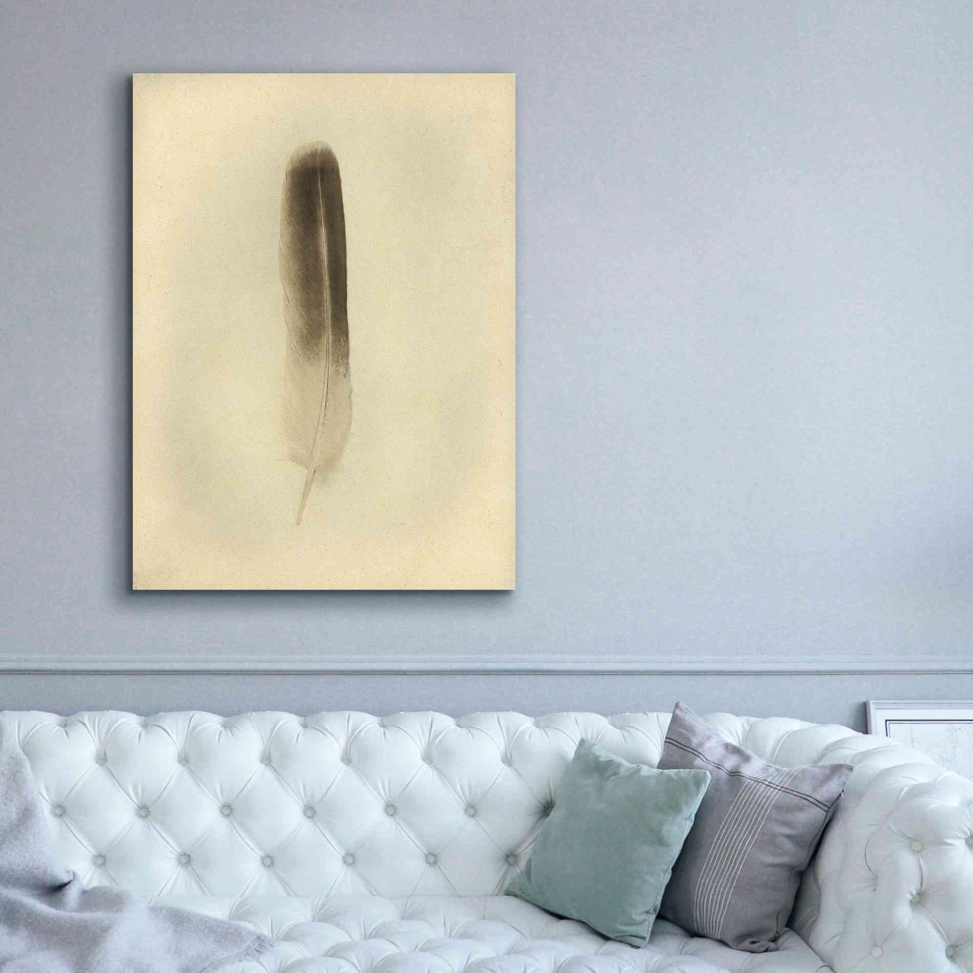 'Feather II Vintage' by Debra Van Swearingen, Canvas Wall Art,40 x 54