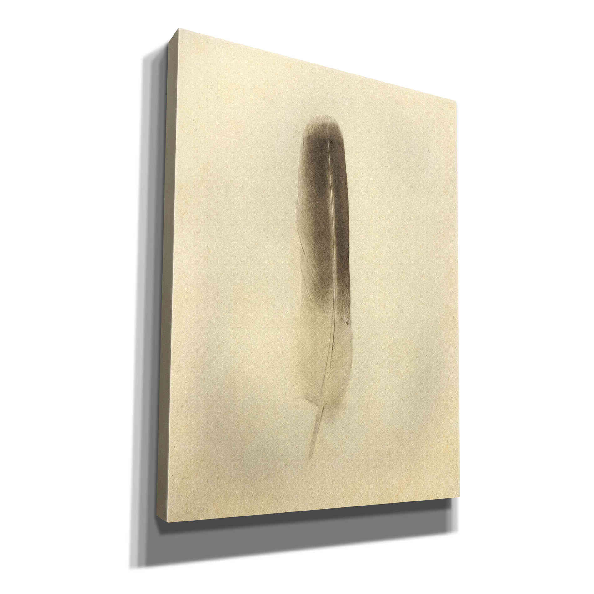 'Feather II Vintage' by Debra Van Swearingen, Canvas Wall Art,12x16x1.1x0,20x24x1.1x0,26x30x1.74x0,40x54x1.74x0