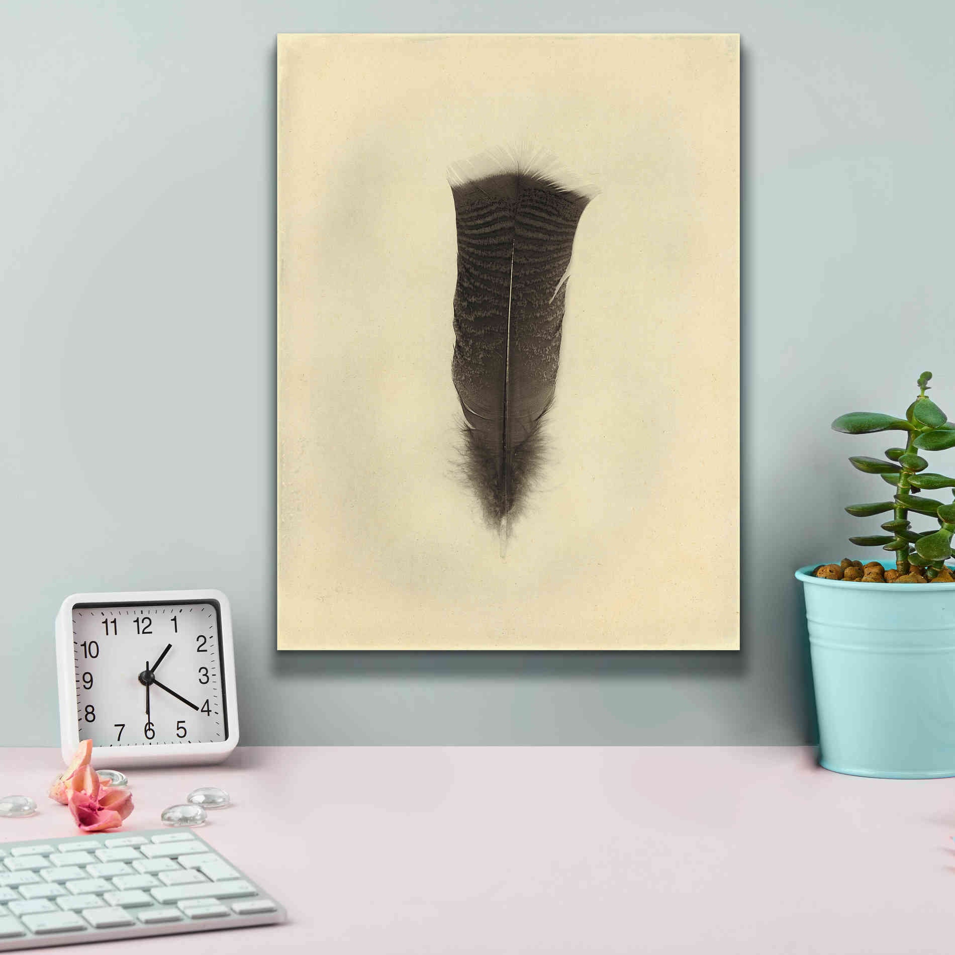 'Feather III Vintage' by Debra Van Swearingen, Canvas Wall Art,12 x 16