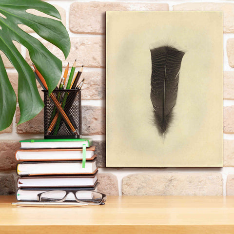 Image of 'Feather III Vintage' by Debra Van Swearingen, Canvas Wall Art,12 x 16