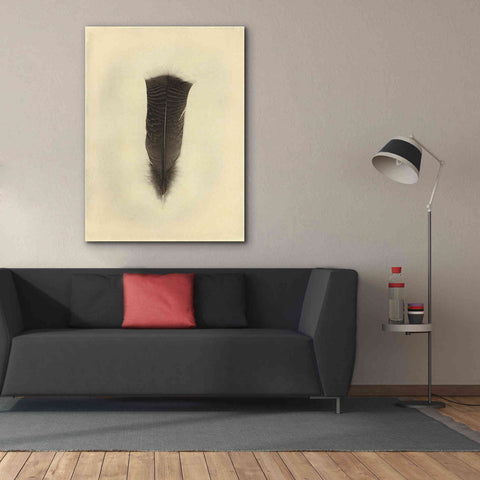 Image of 'Feather III Vintage' by Debra Van Swearingen, Canvas Wall Art,40 x 54