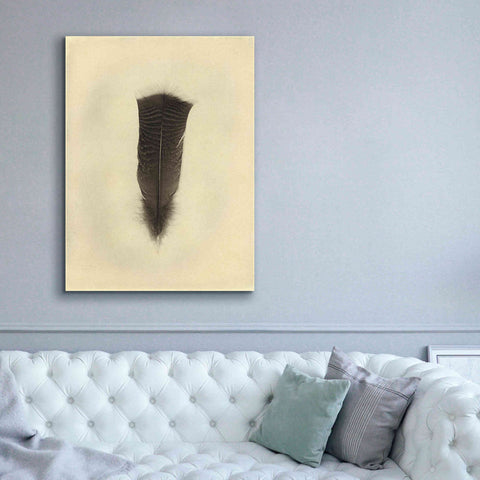 Image of 'Feather III Vintage' by Debra Van Swearingen, Canvas Wall Art,40 x 54