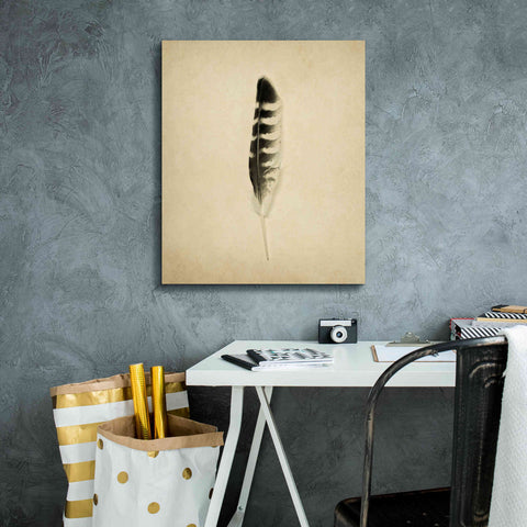 Image of 'Feather IV Vintage' by Debra Van Swearingen, Canvas Wall Art,20 x 24