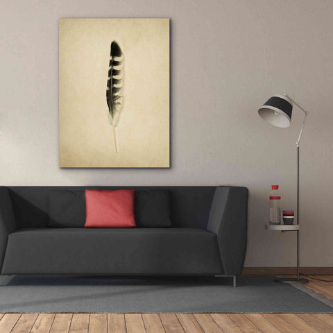 Image of 'Feather IV Vintage' by Debra Van Swearingen, Canvas Wall Art,40 x 54