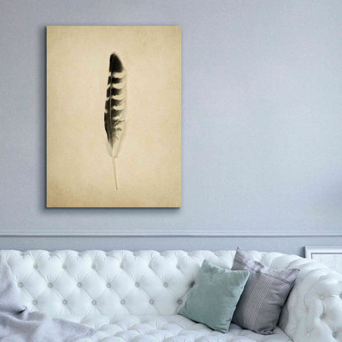 Image of 'Feather IV Vintage' by Debra Van Swearingen, Canvas Wall Art,40 x 54