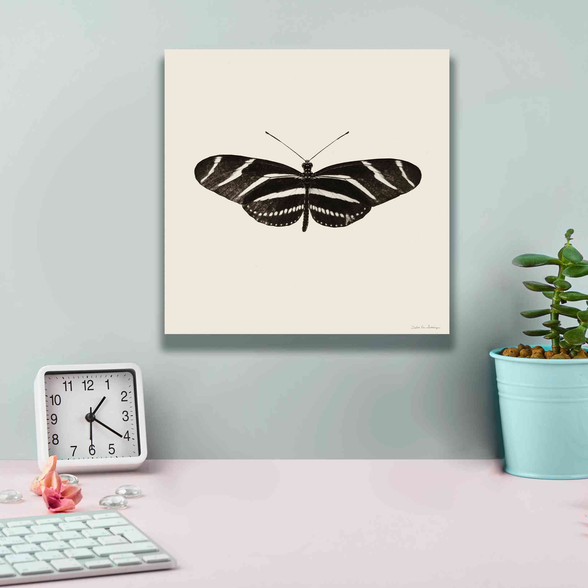 'Butterfly IX B&W' by Debra Van Swearingen, Canvas Wall Art,12 x 12