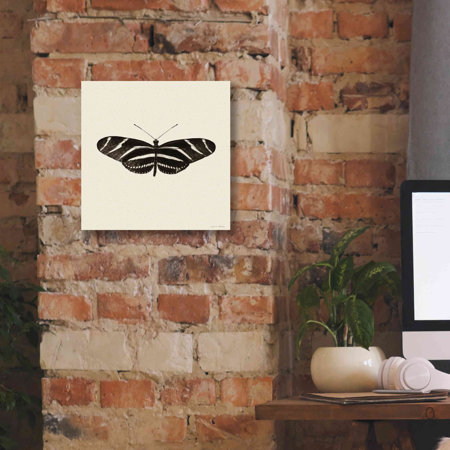 'Butterfly IX B&W' by Debra Van Swearingen, Canvas Wall Art,12 x 12