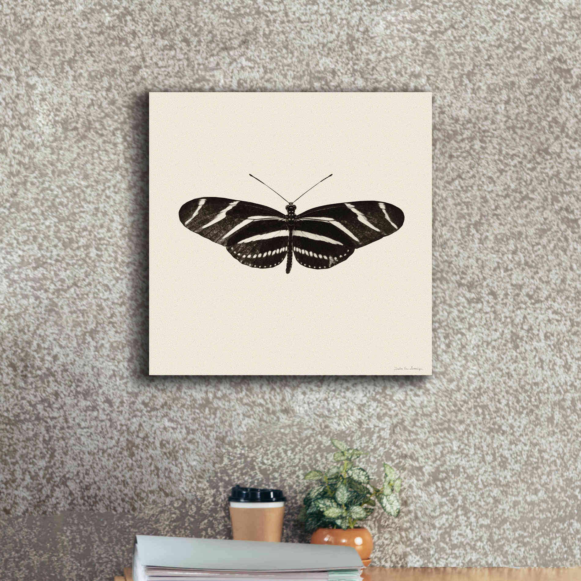 'Butterfly IX B&W' by Debra Van Swearingen, Canvas Wall Art,18 x 18