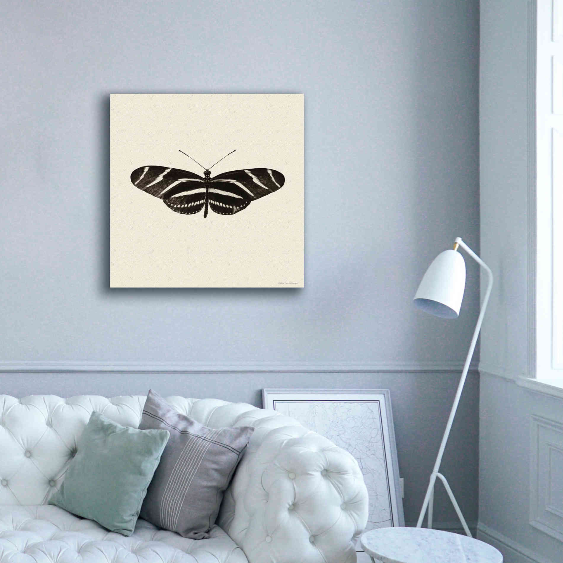 'Butterfly IX B&W' by Debra Van Swearingen, Canvas Wall Art,37 x 37