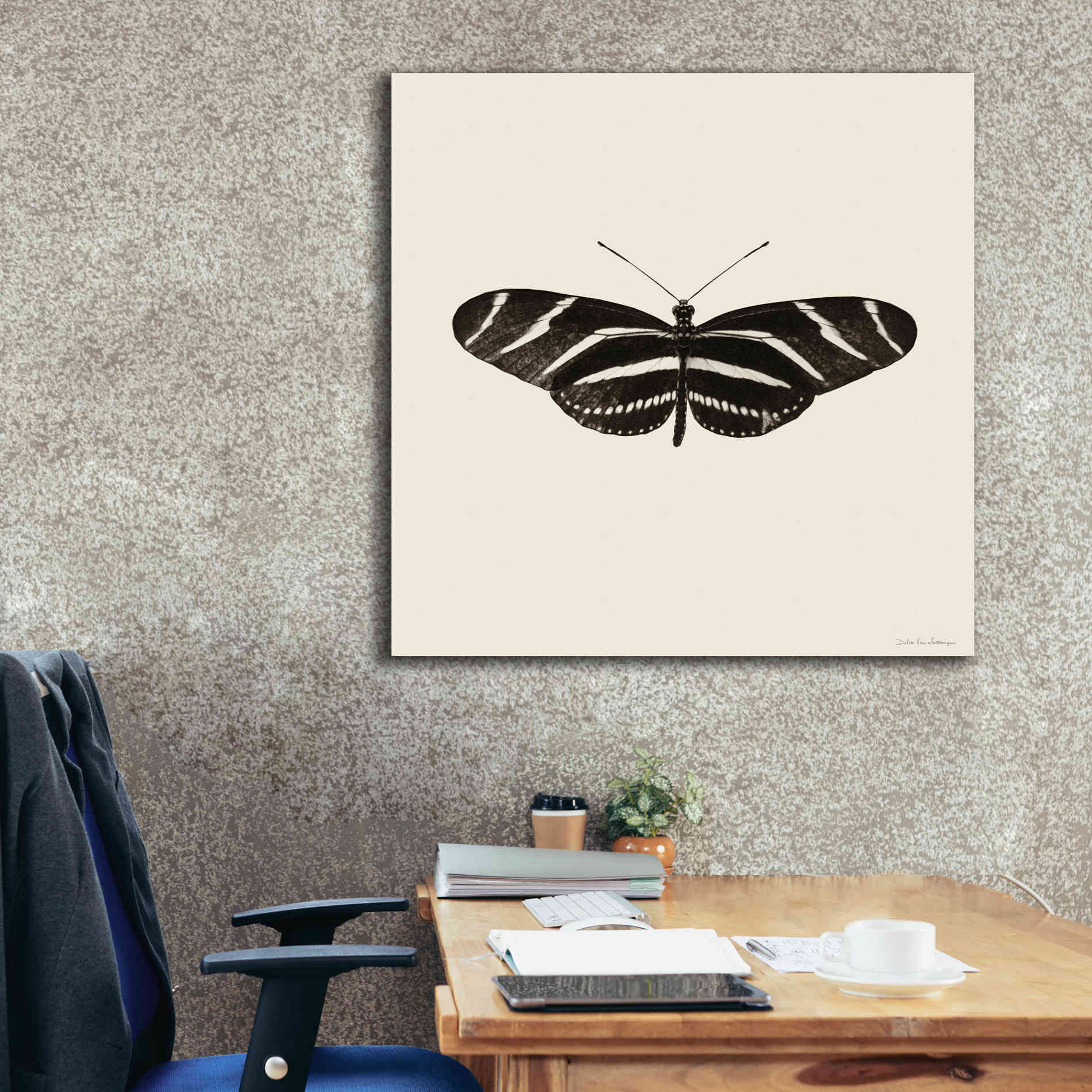 'Butterfly IX B&W' by Debra Van Swearingen, Canvas Wall Art,37 x 37