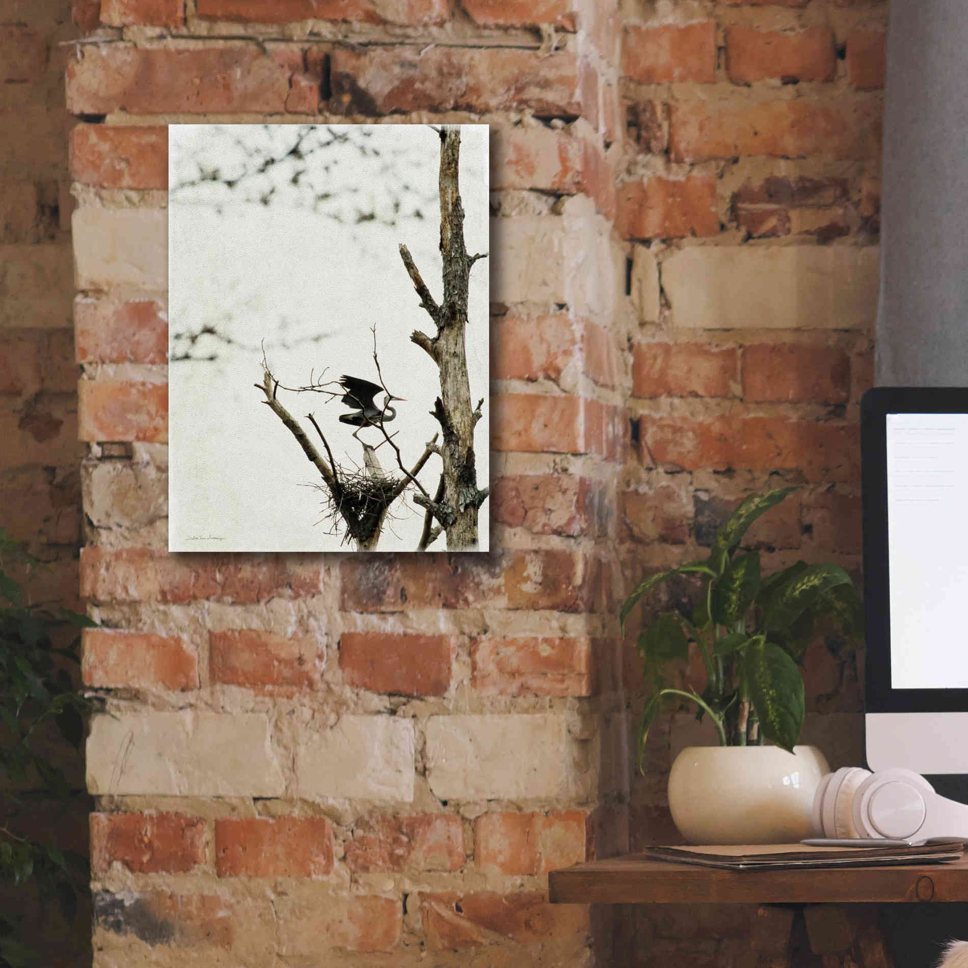 'Poised' by Debra Van Swearingen, Canvas Wall Art,12 x 16