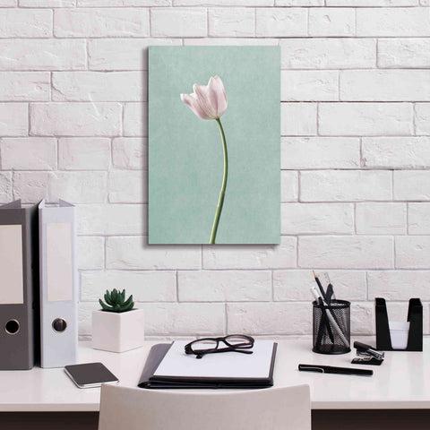 Image of 'Light Tulips I Harbor Gray' by Debra Van Swearingen, Canvas Wall Art,12 x 18