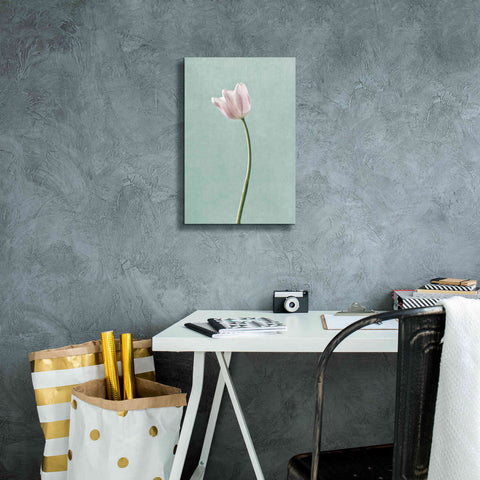Image of 'Light Tulips I Harbor Gray' by Debra Van Swearingen, Canvas Wall Art,12 x 18
