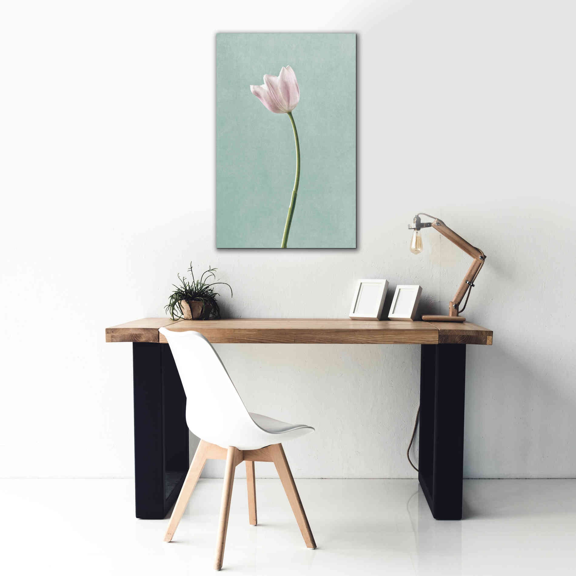 'Light Tulips I Harbor Gray' by Debra Van Swearingen, Canvas Wall Art,26 x 40