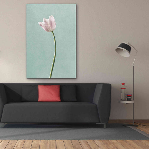 Image of 'Light Tulips I Harbor Gray' by Debra Van Swearingen, Canvas Wall Art,40 x 60