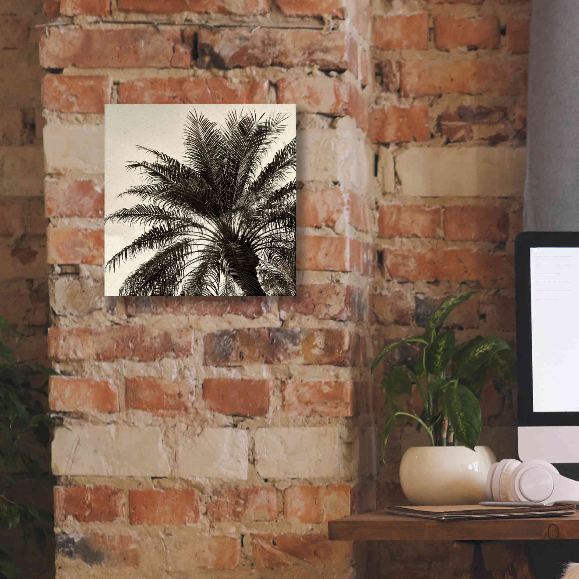 'Palm Tree Sepia I' by Debra Van Swearingen, Canvas Wall Art,12 x 12