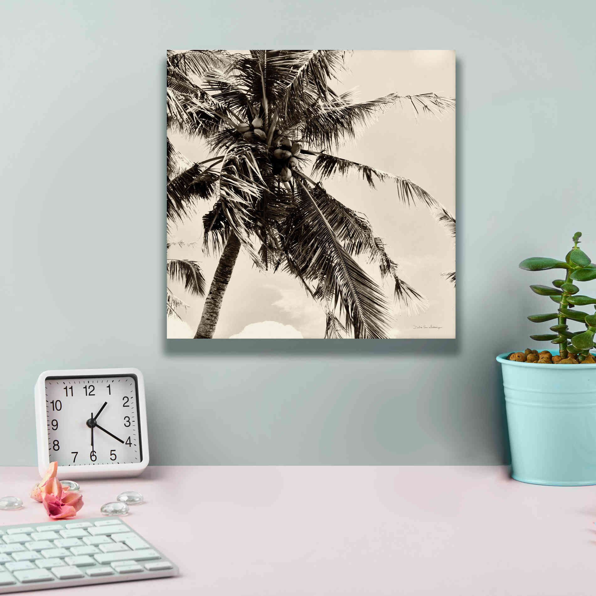 'Palm Tree Sepia II' by Debra Van Swearingen, Canvas Wall Art,12 x 12