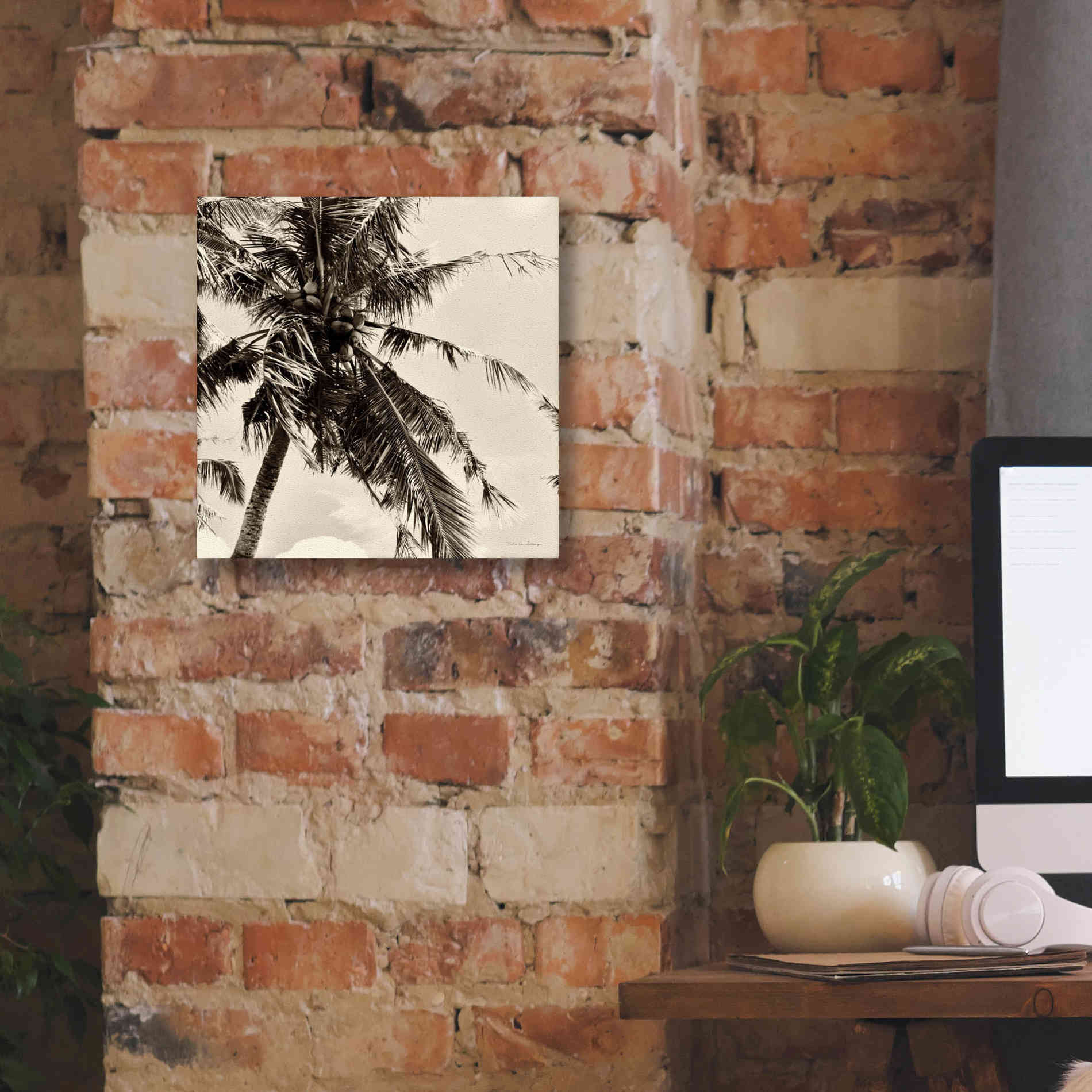 'Palm Tree Sepia II' by Debra Van Swearingen, Canvas Wall Art,12 x 12