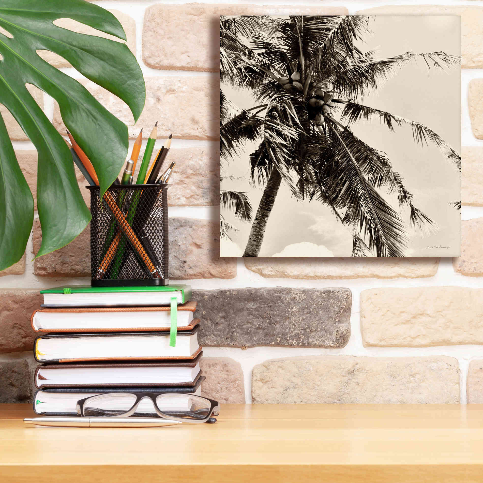 'Palm Tree Sepia II' by Debra Van Swearingen, Canvas Wall Art,12 x 12