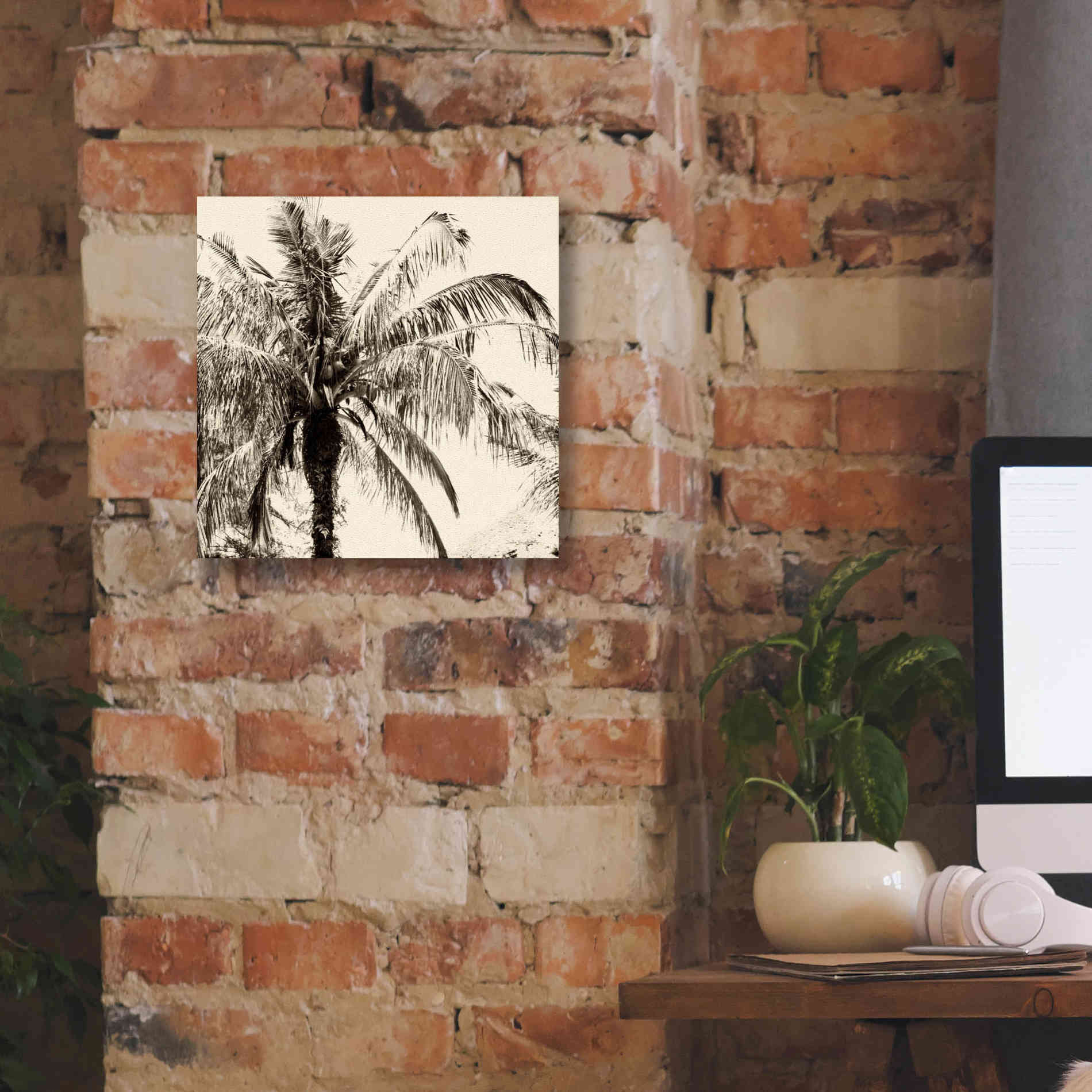 'Palm Tree Sepia III' by Debra Van Swearingen, Canvas Wall Art,12 x 12