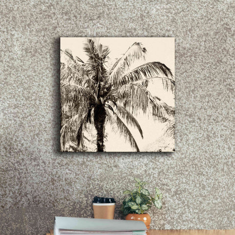 Image of 'Palm Tree Sepia III' by Debra Van Swearingen, Canvas Wall Art,18 x 18