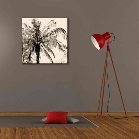 Image of 'Palm Tree Sepia III' by Debra Van Swearingen, Canvas Wall Art,26 x 26