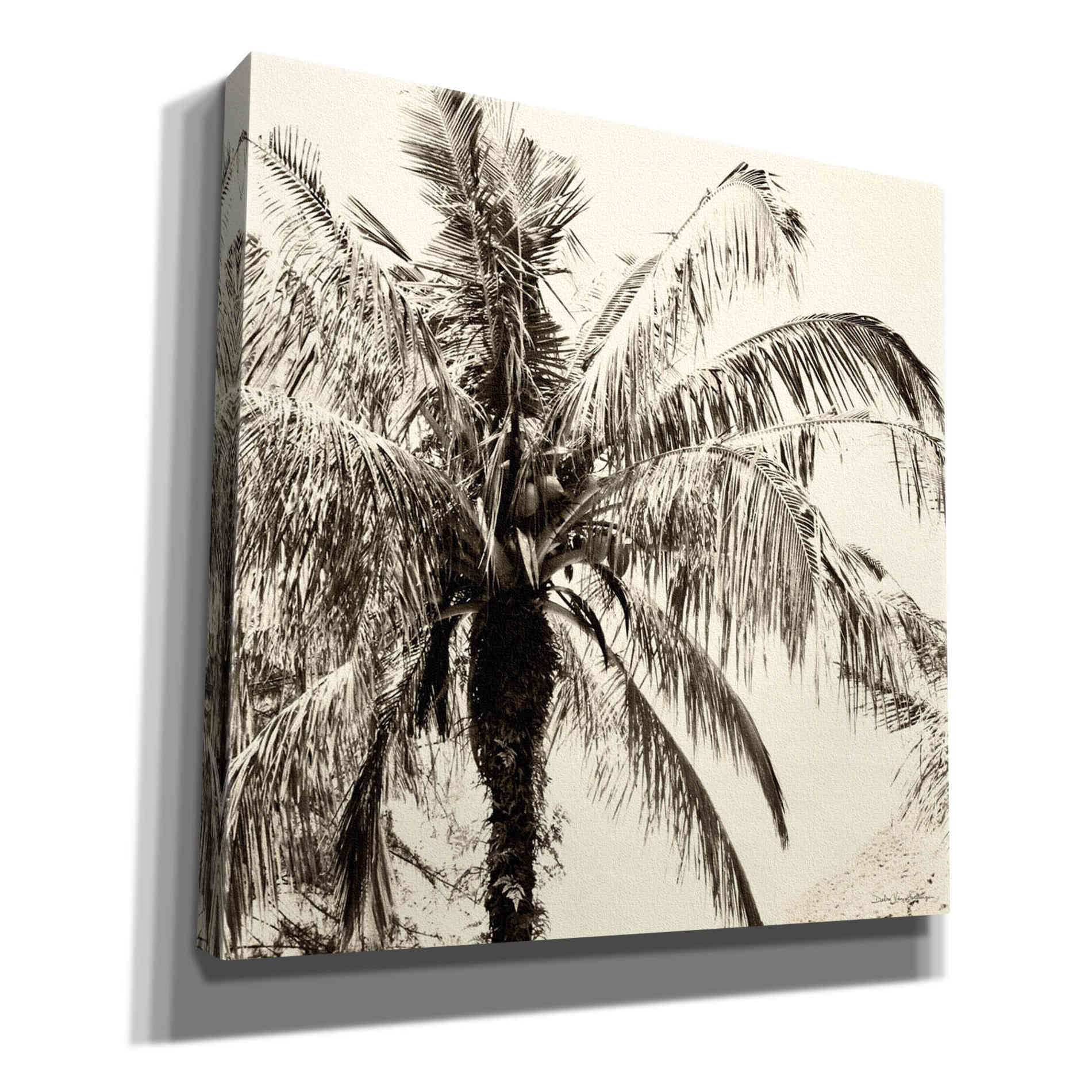 'Palm Tree Sepia III' by Debra Van Swearingen, Canvas Wall Art,12x12x1.1x0,18x18x1.1x0,26x26x1.74x0,37x37x1.74x0