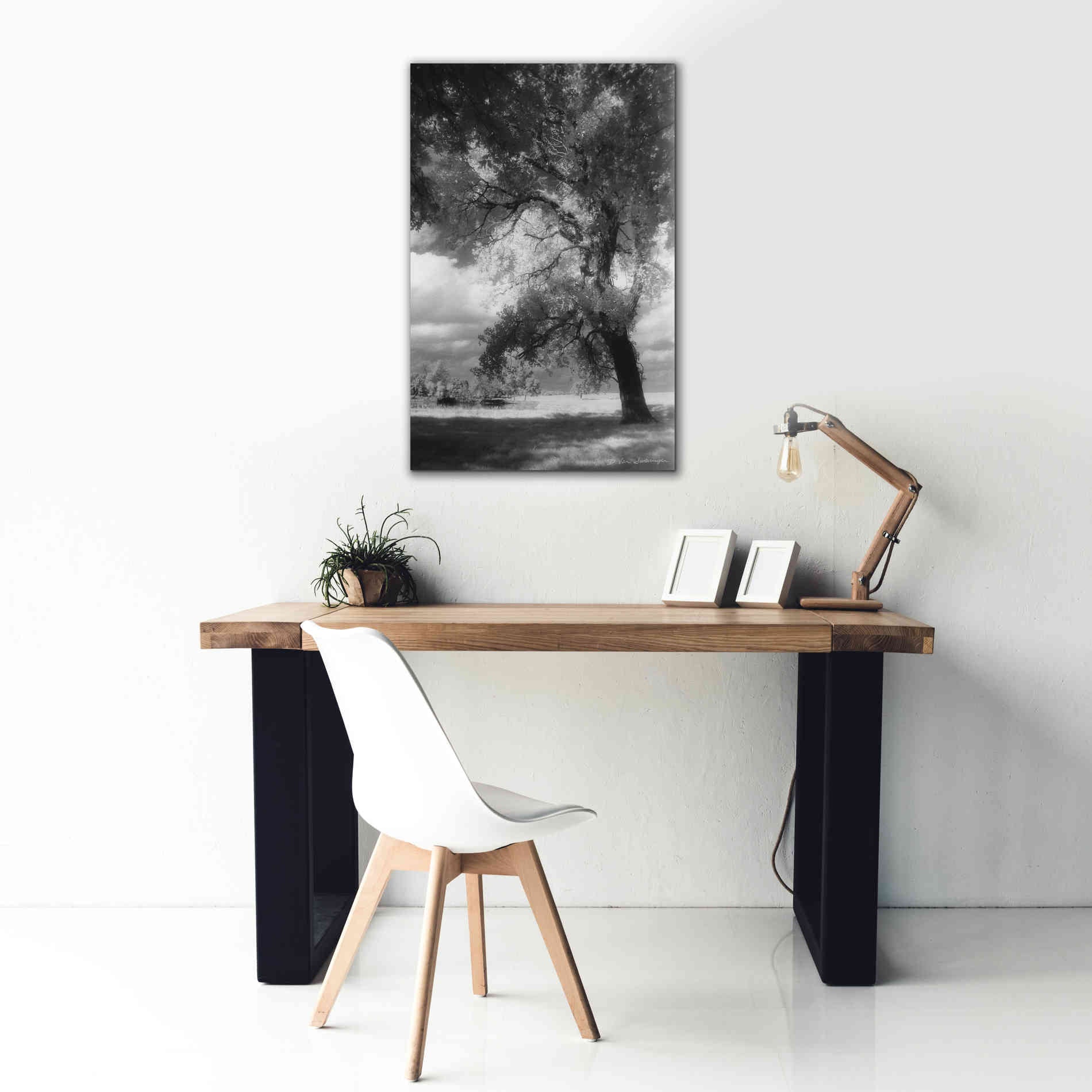 'Dreamscape' by Debra Van Swearingen, Canvas Wall Art,26 x 40