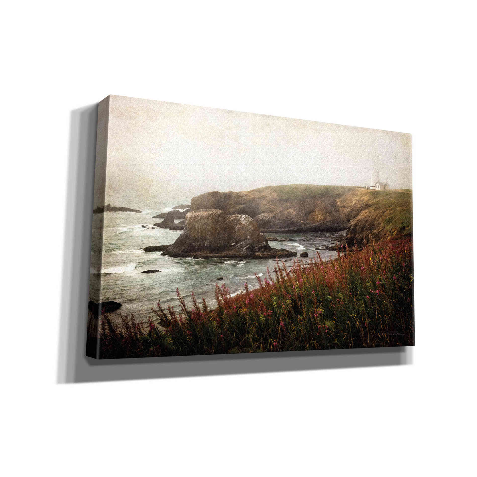 'Coastal Mist' by Debra Van Swearingen, Canvas Wall Art,18x12x1.1x0,26x18x1.1x0,40x26x1.74x0,60x40x1.74x0