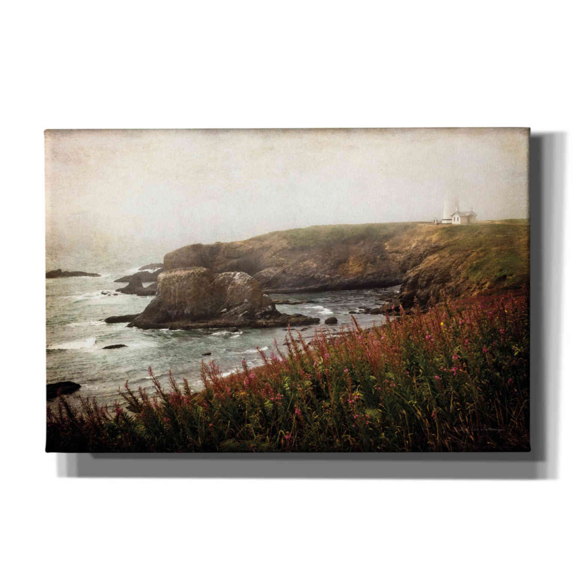 'Coastal Mist' by Debra Van Swearingen, Canvas Wall Art,18x12x1.1x0,26x18x1.1x0,40x26x1.74x0,60x40x1.74x0