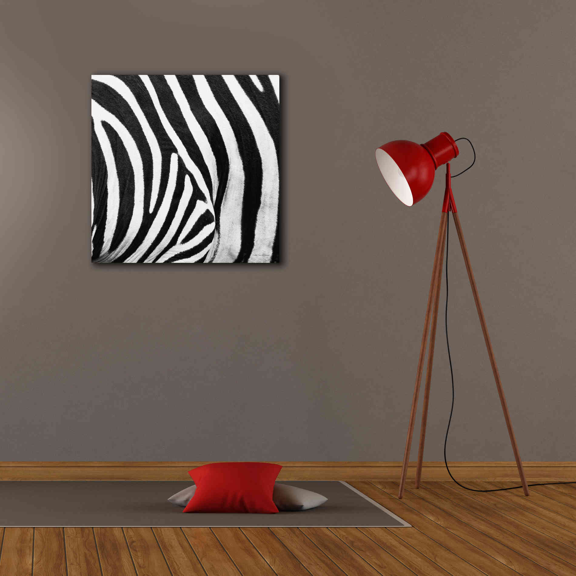 'Zebra IV' by Debra Van Swearingen, Canvas Wall Art,26 x 26