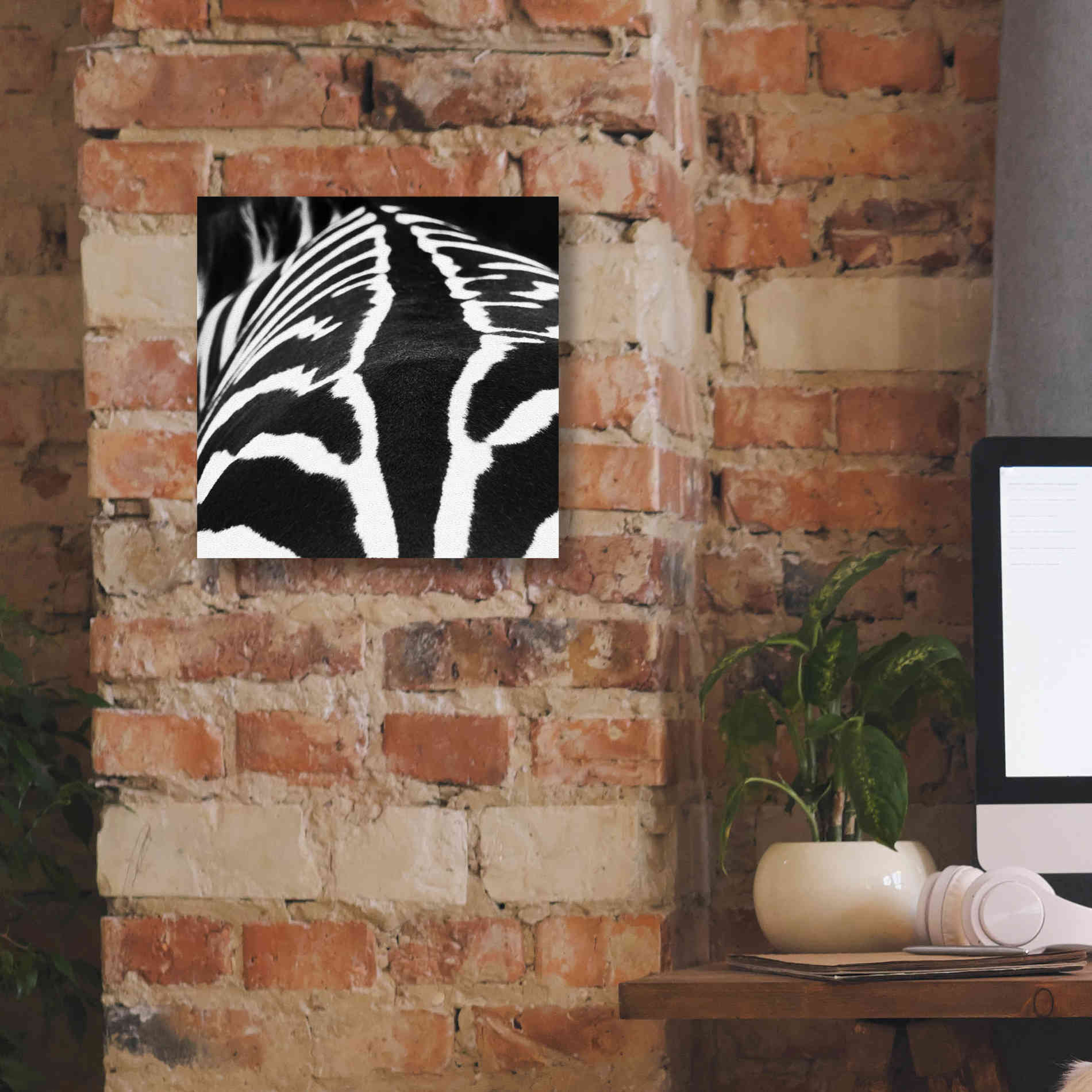 'Zebra V' by Debra Van Swearingen, Canvas Wall Art,12 x 12