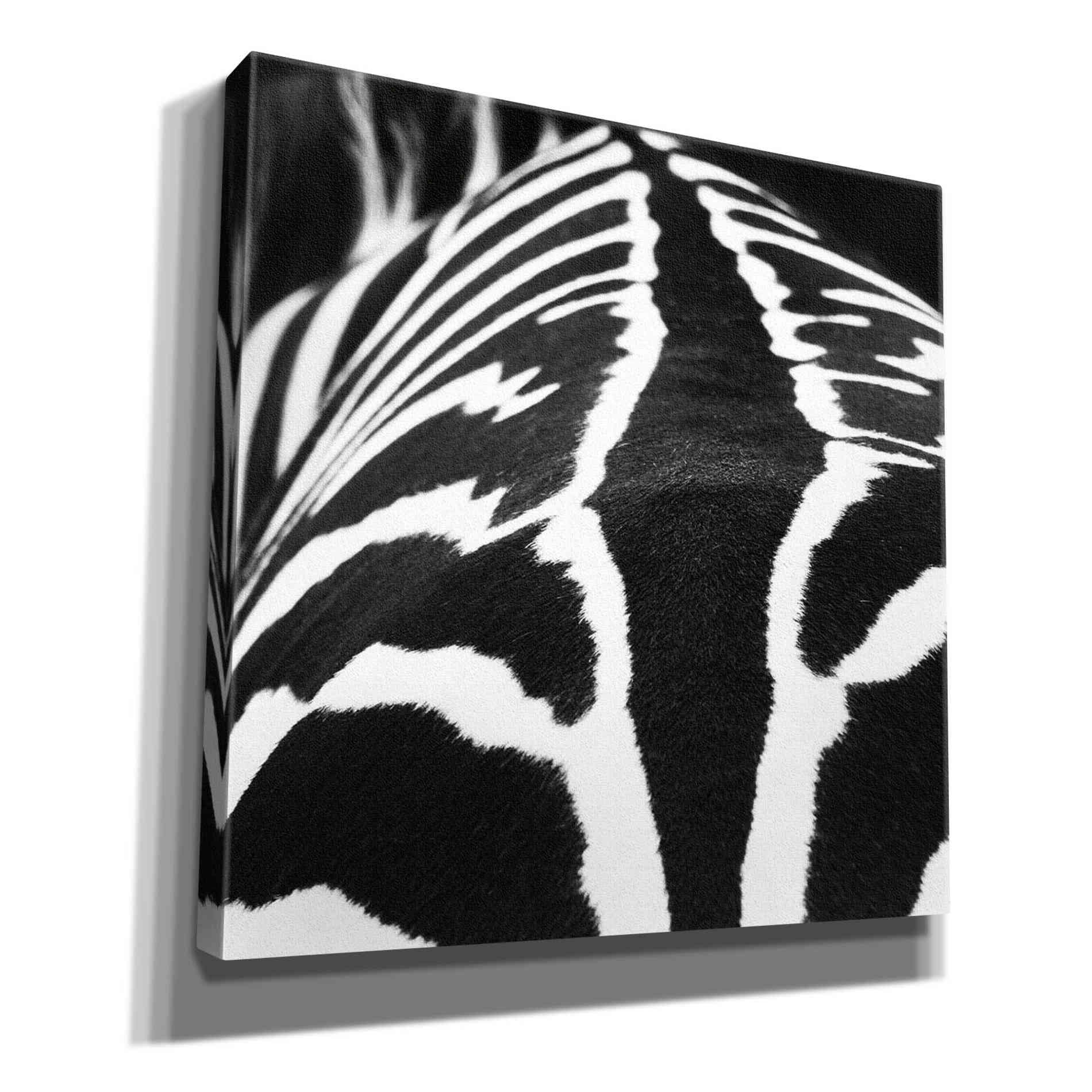 'Zebra V' by Debra Van Swearingen, Canvas Wall Art,12x12x1.1x0,18x18x1.1x0,26x26x1.74x0,37x37x1.74x0
