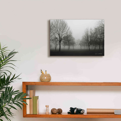 Image of 'Morning Mist' by Debra Van Swearingen, Canvas Wall Art,18 x 12
