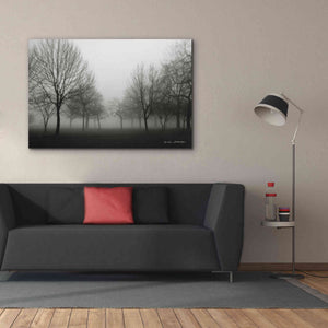 'Morning Mist' by Debra Van Swearingen, Canvas Wall Art,60 x 40