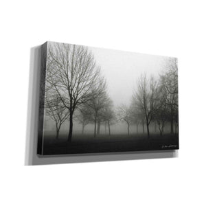 'Morning Mist' by Debra Van Swearingen, Canvas Wall Art,18x12x1.1x0,26x18x1.1x0,40x26x1.74x0,60x40x1.74x0