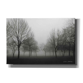 'Morning Mist' by Debra Van Swearingen, Canvas Wall Art,18x12x1.1x0,26x18x1.1x0,40x26x1.74x0,60x40x1.74x0