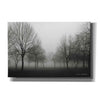 'Morning Mist' by Debra Van Swearingen, Canvas Wall Art,18x12x1.1x0,26x18x1.1x0,40x26x1.74x0,60x40x1.74x0