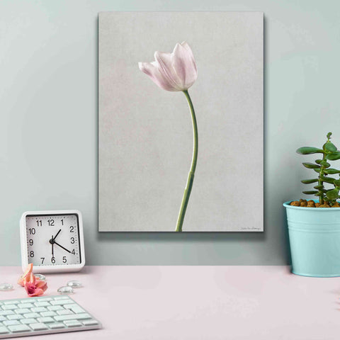 Image of 'Light Tulips I' by Debra Van Swearingen, Canvas Wall Art,12 x 16