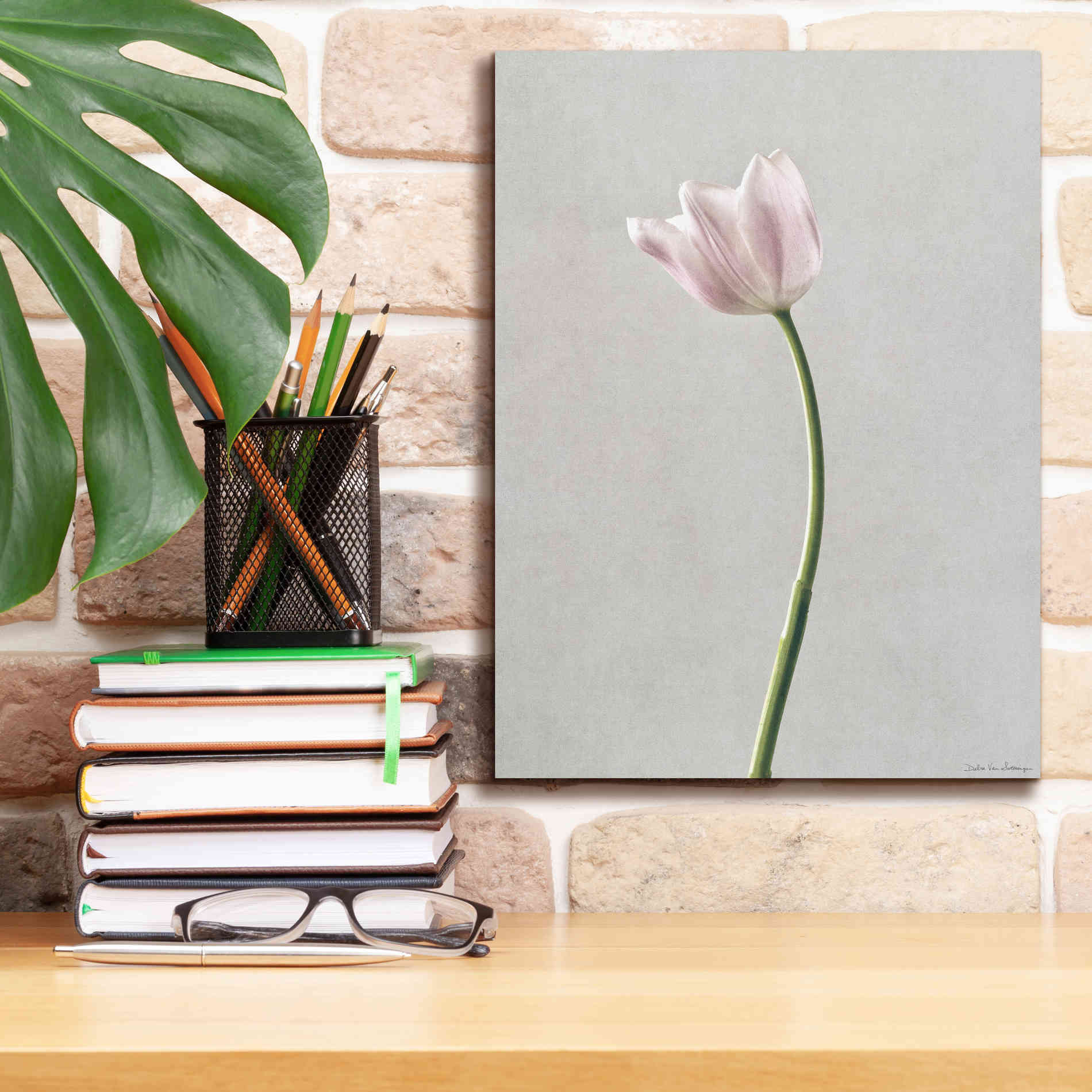 'Light Tulips I' by Debra Van Swearingen, Canvas Wall Art,12 x 16